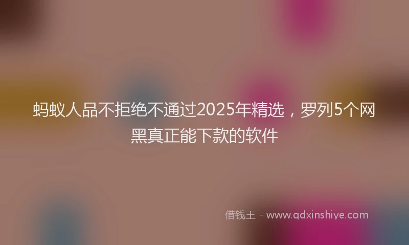 蚂蚁人品不拒绝不通过2025年精选，罗列5个网黑真正能下款的软件