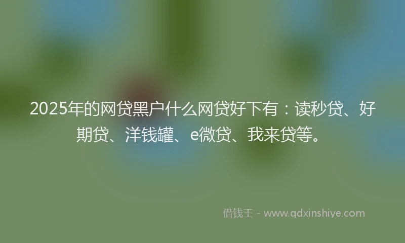 2025年的网贷黑户什么网贷好下有：读秒贷、好期贷、洋钱罐、e微贷、我来贷等。