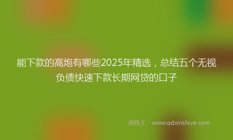 能下款的高炮有哪些2025年精选，总结五个无视负债快速下款长期网贷的口子