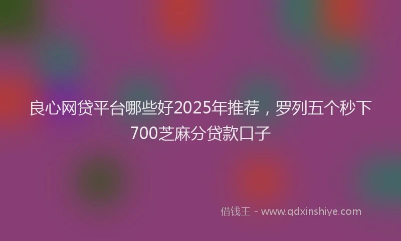 良心网贷平台哪些好2025年推荐，罗列五个秒下700芝麻分贷款口子