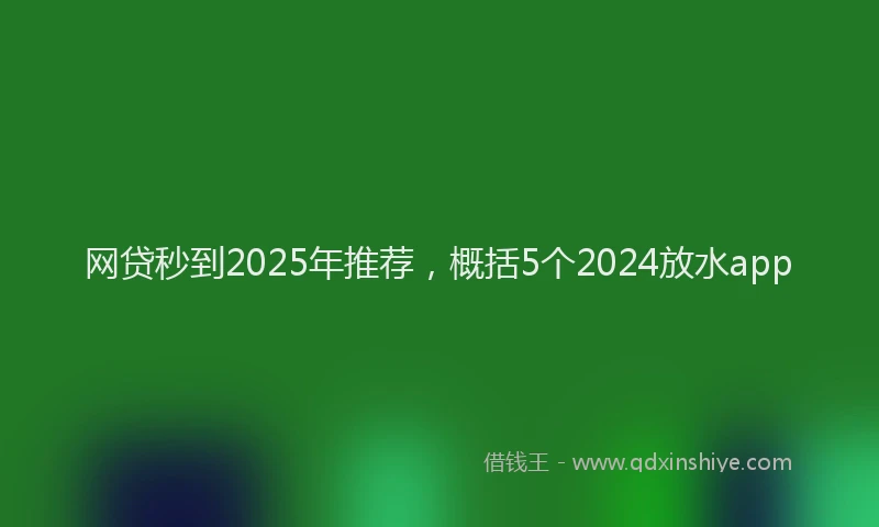 网贷秒到2025年推荐，概括5个2024放水app