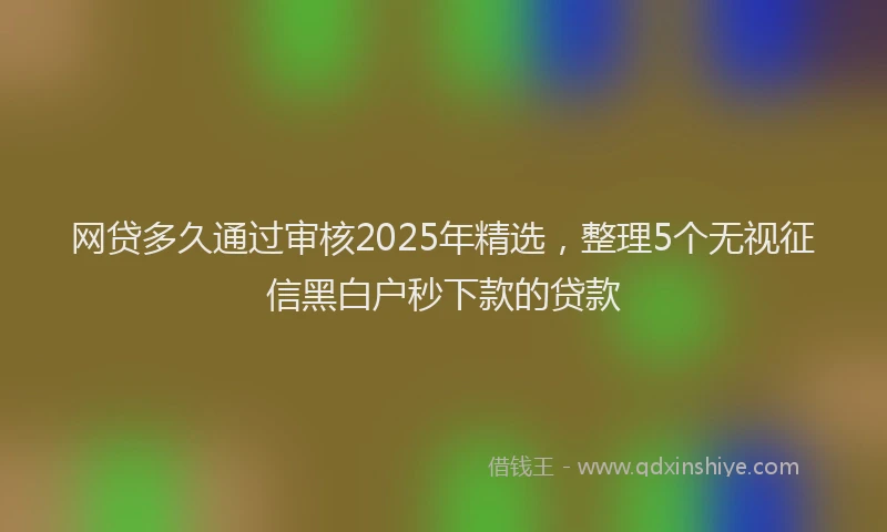 网贷多久通过审核2025年精选，整理5个无视征信黑白户秒下款的贷款