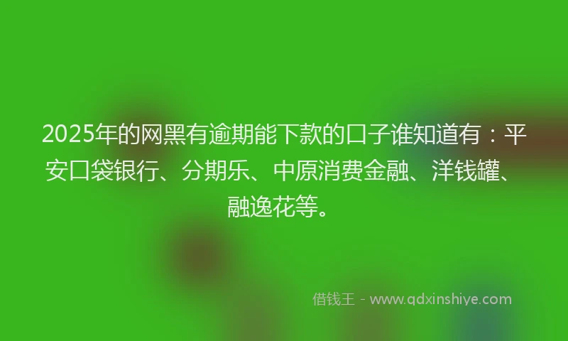 2025年的网黑有逾期能下款的口子谁知道有：平安口袋银行、分期乐、中原消费金融、洋钱罐、融逸花等。