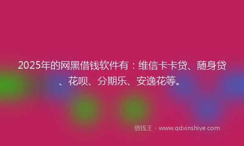 2025年的网黑借钱软件有：维信卡卡贷、随身贷、花呗、分期乐、安逸花等。