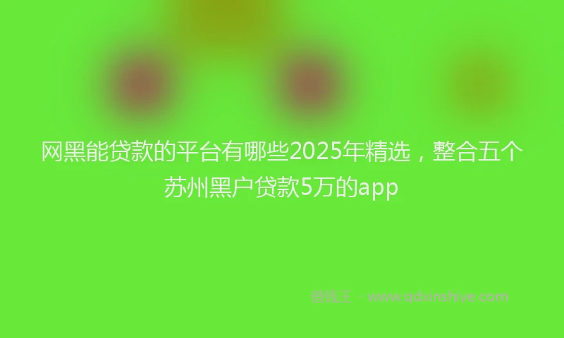 网黑能贷款的平台有哪些2025年精选，整合五个苏州黑户贷款5万的app