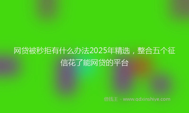 网贷被秒拒有什么办法2025年精选，整合五个征信花了能网贷的平台
