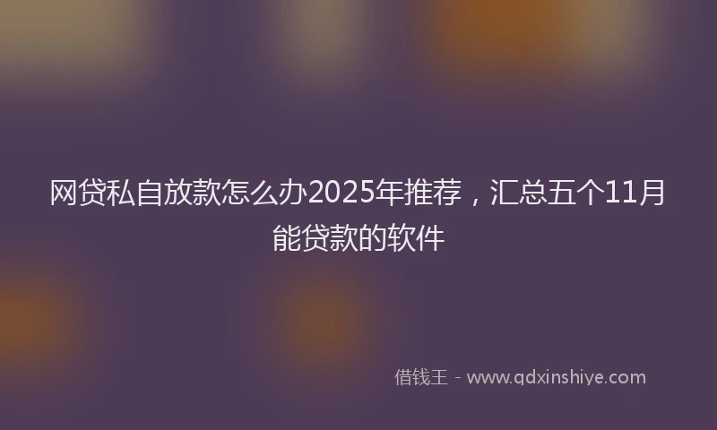 网贷私自放款怎么办2025年推荐，汇总五个11月能贷款的软件