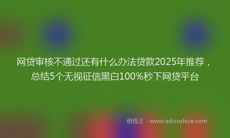 网贷审核不通过还有什么办法贷款2025年推荐，总结5个无视征信黑白100%秒下网贷平台