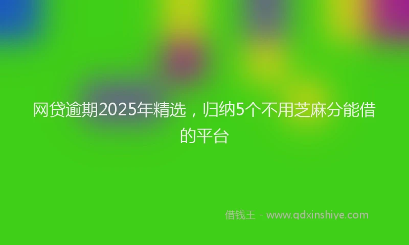 网贷逾期2025年精选，归纳5个不用芝麻分能借的平台