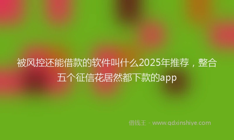被风控还能借款的软件叫什么2025年推荐，整合五个征信花居然都下款的app