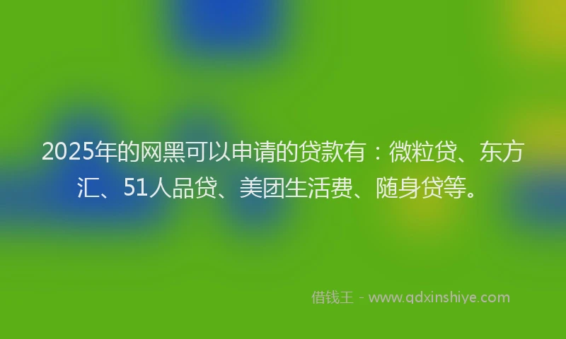 2025年的网黑可以申请的贷款有：微粒贷、东方汇、51人品贷、美团生活费、随身贷等。