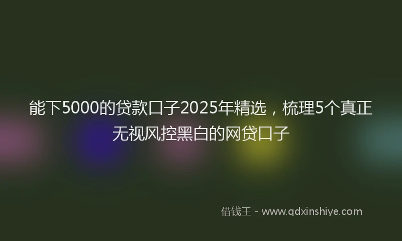 能下5000的贷款口子2025年精选，梳理5个真正无视风控黑白的网贷口子