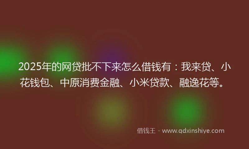 2025年的网贷批不下来怎么借钱有：我来贷、小花钱包、中原消费金融、小米贷款、融逸花等。