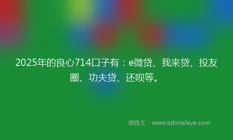 2025年的良心714口子有：e微贷、我来贷、投友圈、功夫贷、还呗等。
