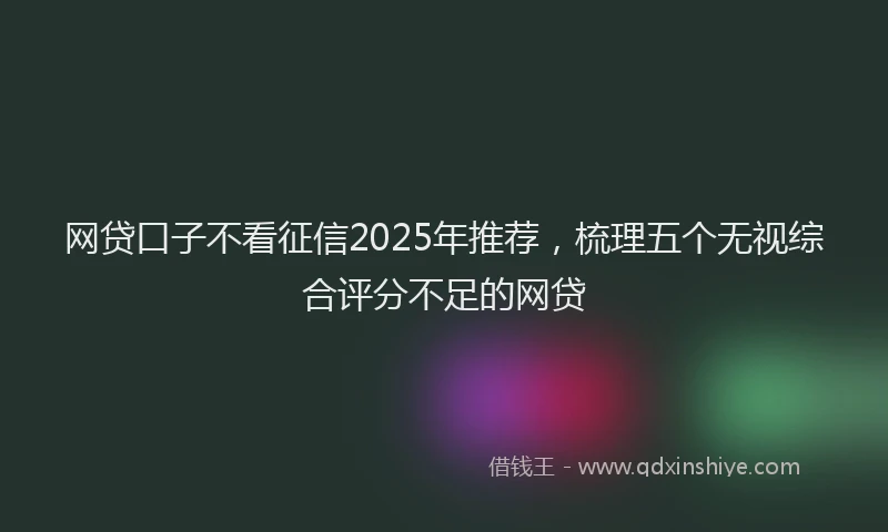 网贷口子不看征信2025年推荐，梳理五个无视综合评分不足的网贷