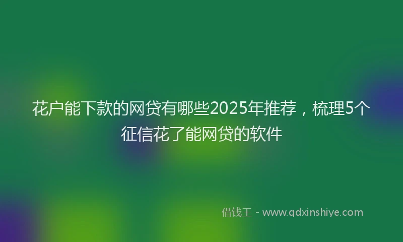 花户能下款的网贷有哪些2025年推荐，梳理5个征信花了能网贷的软件