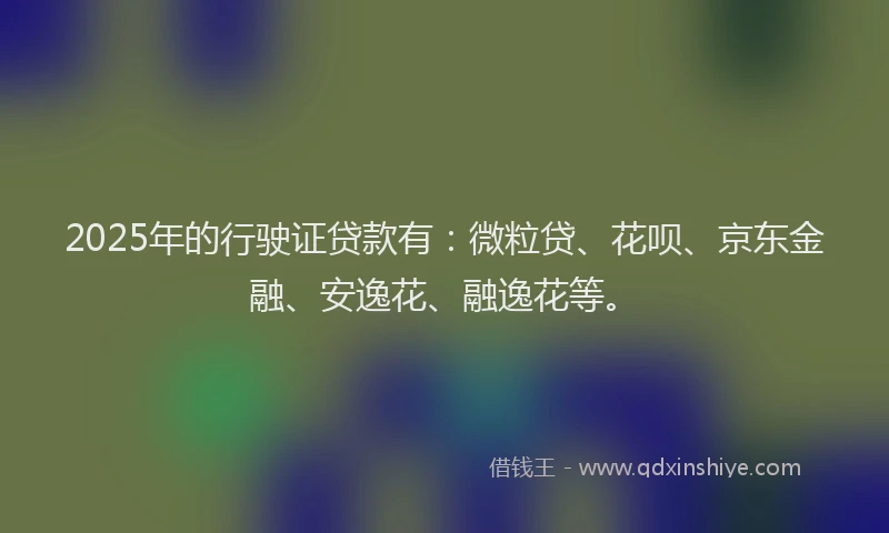 2025年的行驶证贷款有：微粒贷、花呗、京东金融、安逸花、融逸花等。