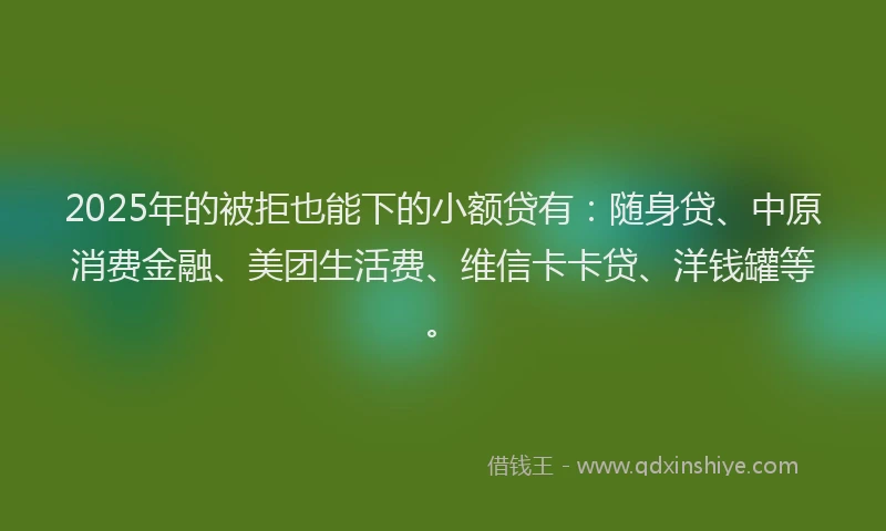 2025年的被拒也能下的小额贷有：随身贷、中原消费金融、美团生活费、维信卡卡贷、洋钱罐等。