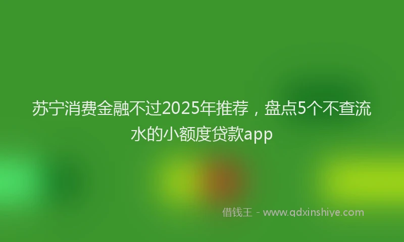 苏宁消费金融不过2025年推荐，盘点5个不查流水的小额度贷款app