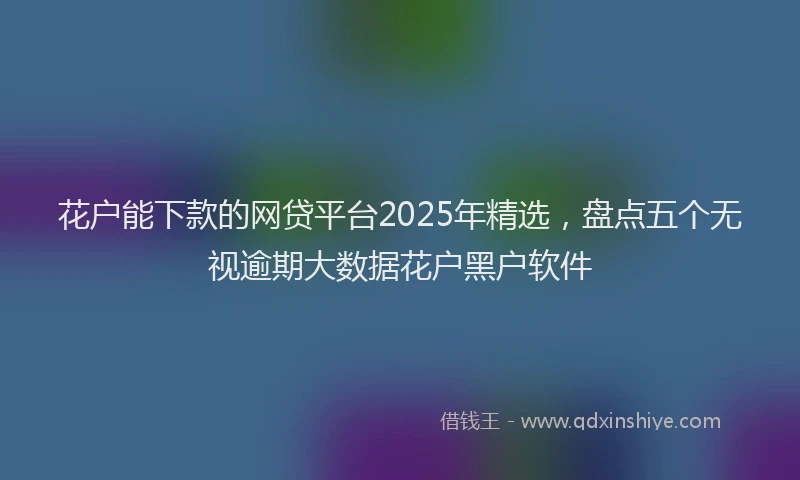 花户能下款的网贷平台2025年精选，盘点五个无视逾期大数据花户黑户软件