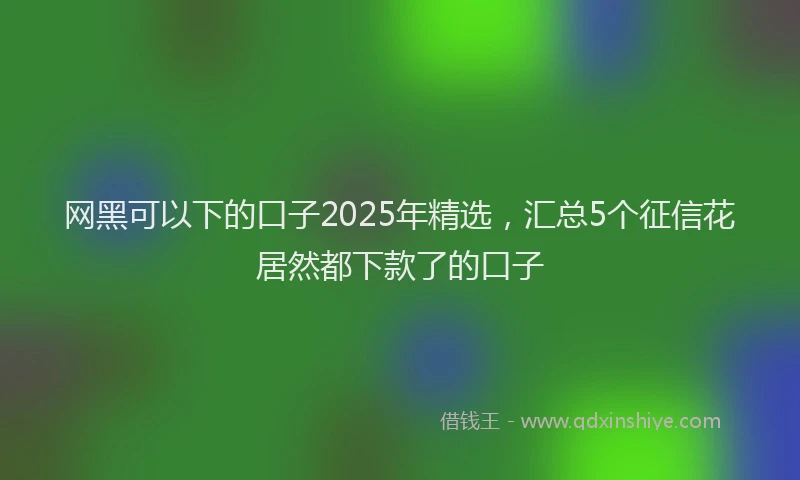 网黑可以下的口子2025年精选，汇总5个征信花居然都下款了的口子