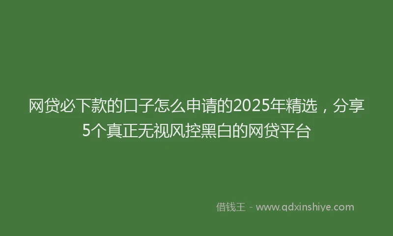 网贷必下款的口子怎么申请的2025年精选，分享5个真正无视风控黑白的网贷平台