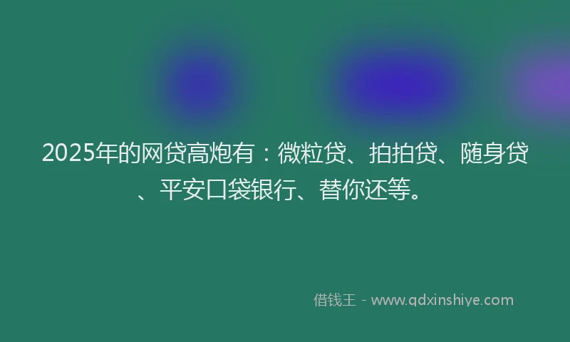 2025年的网贷高炮有：微粒贷、拍拍贷、随身贷、平安口袋银行、替你还等。