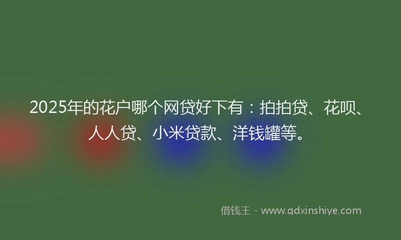 2025年的花户哪个网贷好下有：拍拍贷、花呗、人人贷、小米贷款、洋钱罐等。