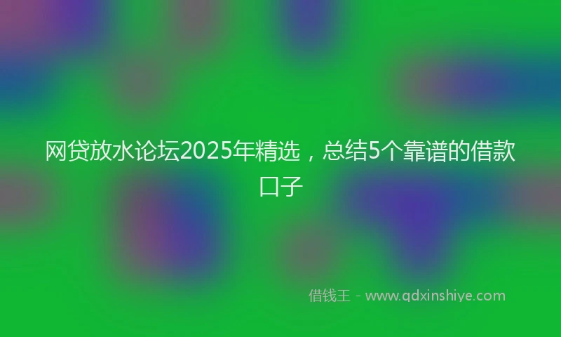 网贷放水论坛2025年精选，总结5个靠谱的借款口子