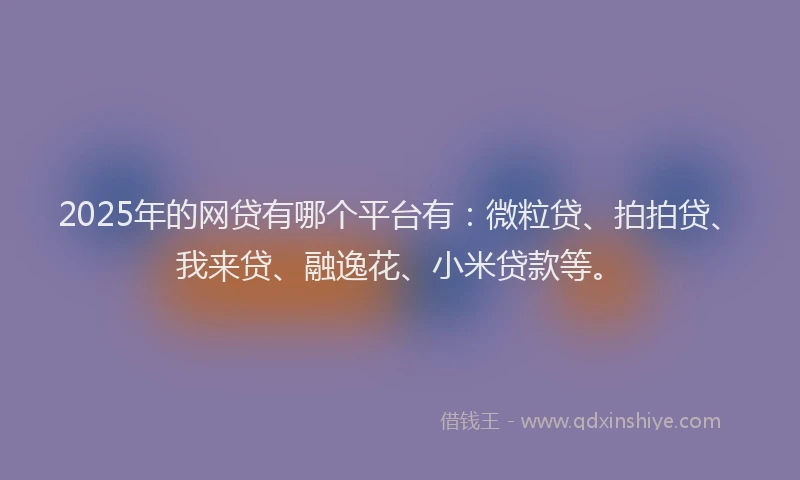 2025年的网贷有哪个平台有：微粒贷、拍拍贷、我来贷、融逸花、小米贷款等。