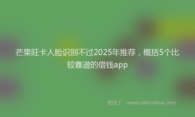 芒果旺卡人脸识别不过2025年推荐，概括5个比较靠谱的借钱app