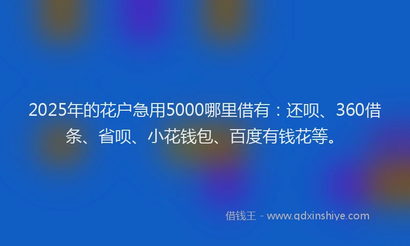 2025年的花户急用5000哪里借有：还呗、360借条、省呗、小花钱包、百度有钱花等。