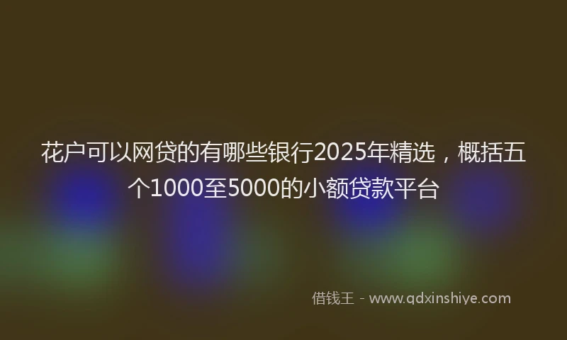 花户可以网贷的有哪些银行2025年精选，概括五个1000至5000的小额贷款平台
