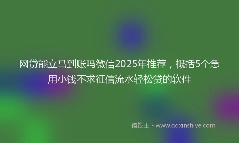 网贷能立马到账吗微信2025年推荐，概括5个急用小钱不求征信流水轻松贷的软件