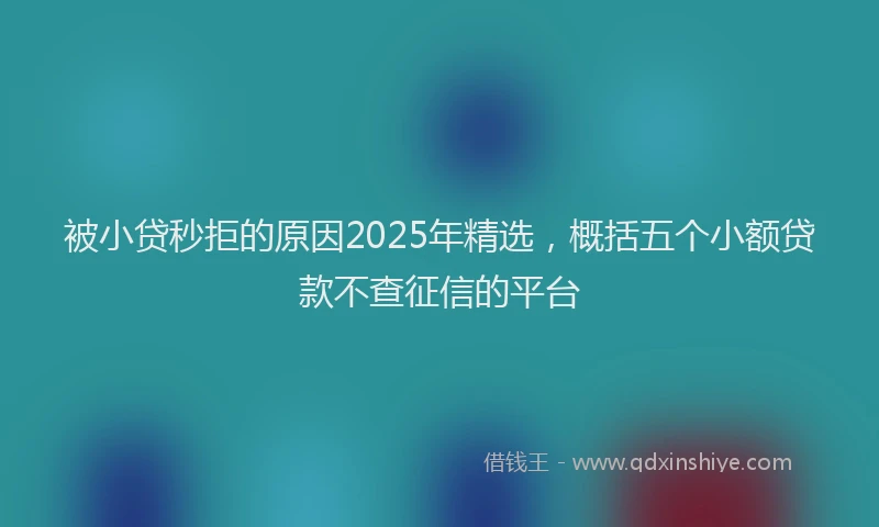被小贷秒拒的原因2025年精选，概括五个小额贷款不查征信的平台