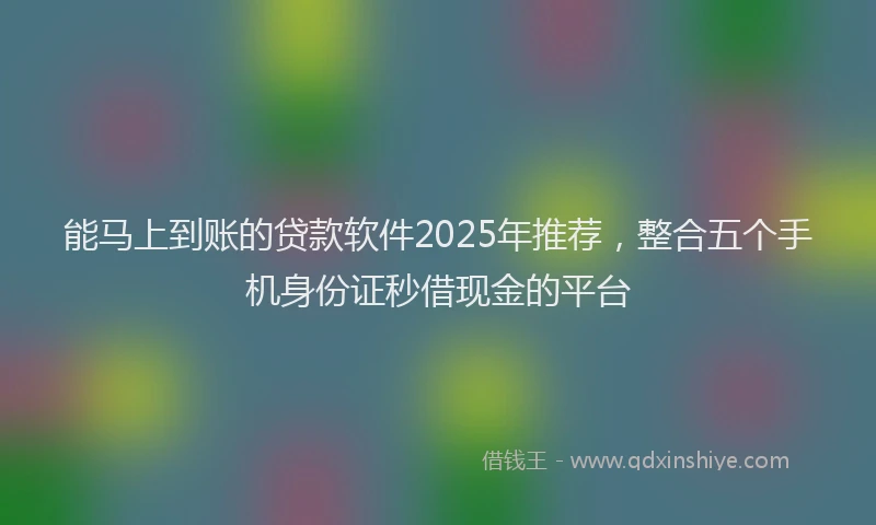 能马上到账的贷款软件2025年推荐，整合五个手机身份证秒借现金的平台