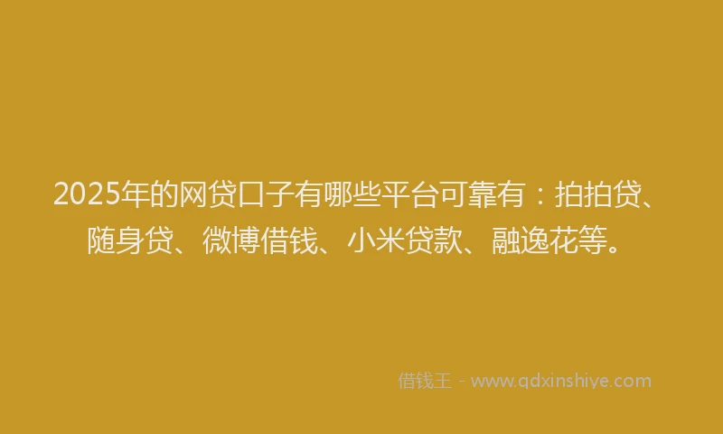 2025年的网贷口子有哪些平台可靠有：拍拍贷、随身贷、微博借钱、小米贷款、融逸花等。