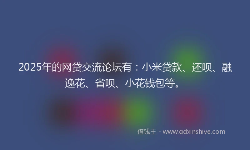 2025年的网贷交流论坛有：小米贷款、还呗、融逸花、省呗、小花钱包等。
