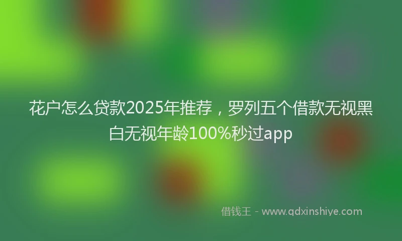 花户怎么贷款2025年推荐，罗列五个借款无视黑白无视年龄100%秒过app
