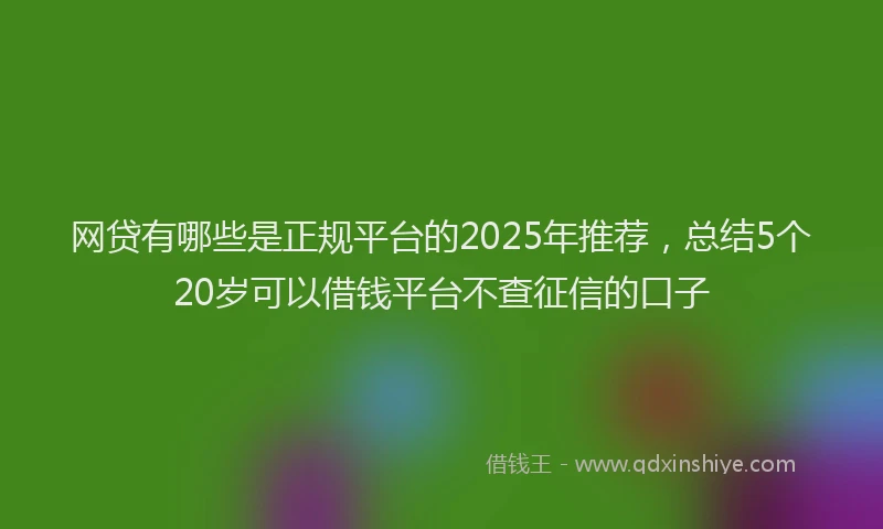 网贷有哪些是正规平台的2025年推荐，总结5个20岁可以借钱平台不查征信的口子