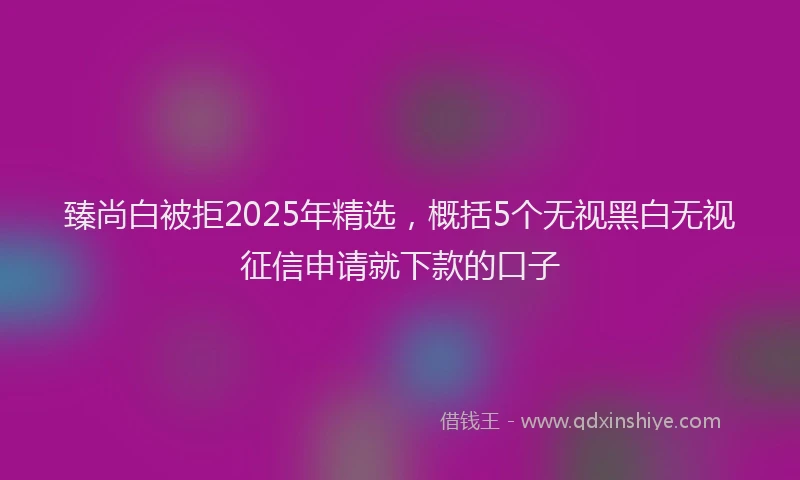 臻尚白被拒2025年精选，概括5个无视黑白无视征信申请就下款的口子