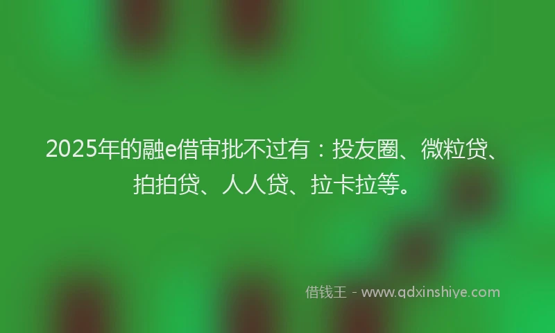 2025年的融e借审批不过有：投友圈、微粒贷、拍拍贷、人人贷、拉卡拉等。