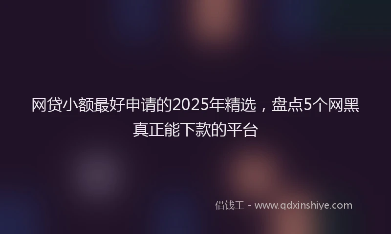 网贷小额最好申请的2025年精选，盘点5个网黑真正能下款的平台