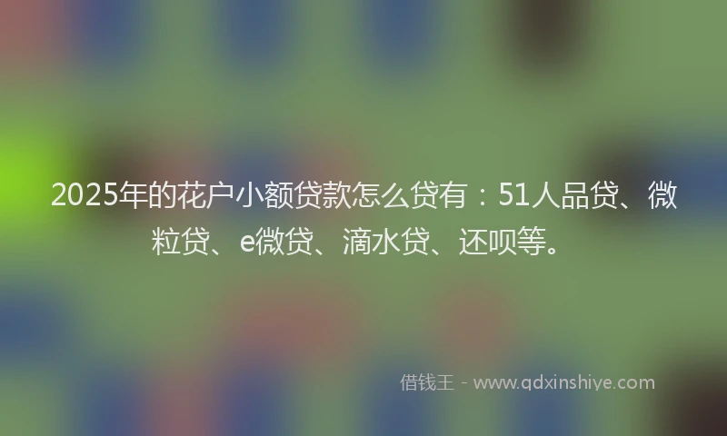 2025年的花户小额贷款怎么贷有：51人品贷、微粒贷、e微贷、滴水贷、还呗等。