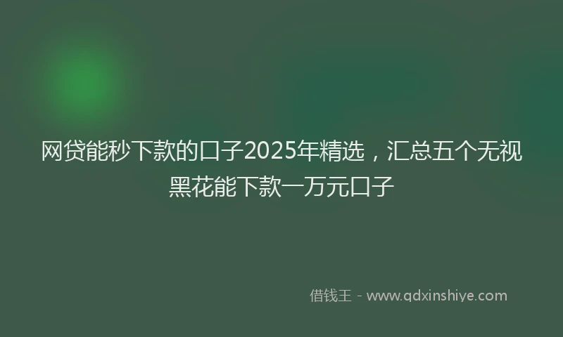 网贷能秒下款的口子2025年精选，汇总五个无视黑花能下款一万元口子