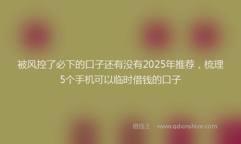被风控了必下的口子还有没有2025年推荐，梳理5个手机可以临时借钱的口子