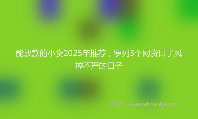 能放款的小贷2025年推荐，罗列5个网贷口子风控不严的口子
