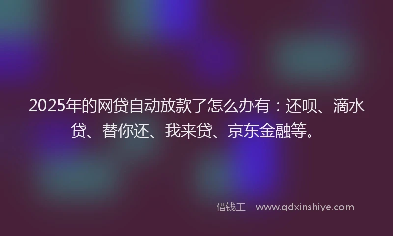 2025年的网贷自动放款了怎么办有：还呗、滴水贷、替你还、我来贷、京东金融等。