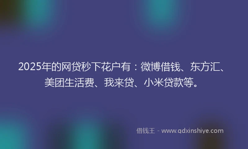 2025年的网贷秒下花户有：微博借钱、东方汇、美团生活费、我来贷、小米贷款等。