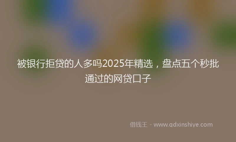 被银行拒贷的人多吗2025年精选，盘点五个秒批通过的网贷口子